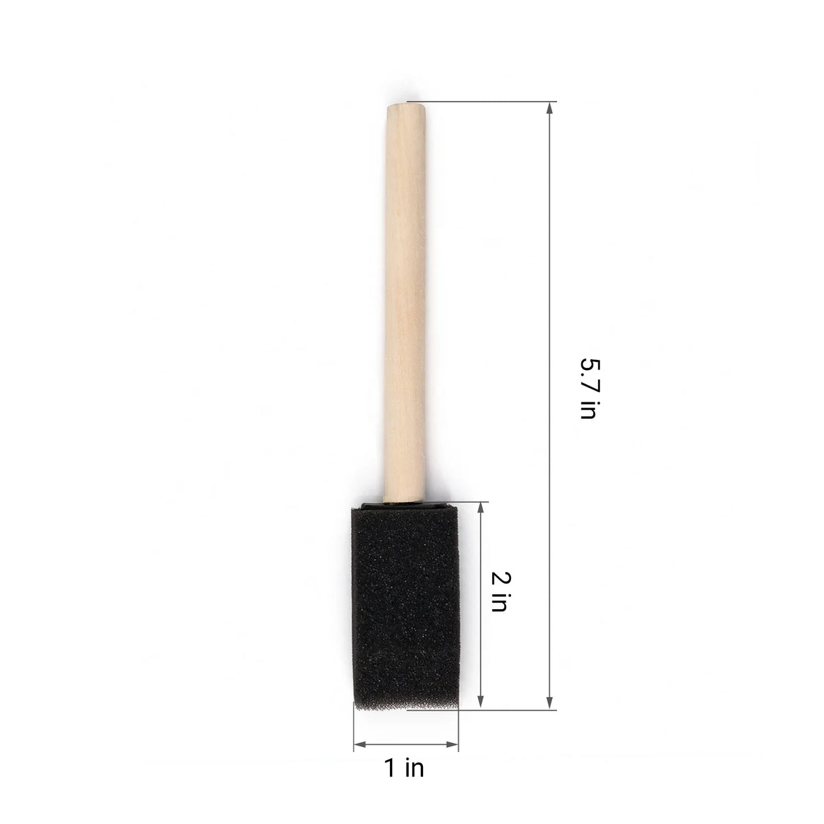 Weathering sponge brush dimensions: 5.7 in overall length, 2 by 1 in foam head